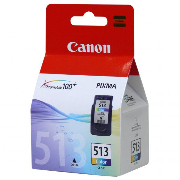 Canon Original Inkjet CL-513 2971B001 color 13 ml 350 pages